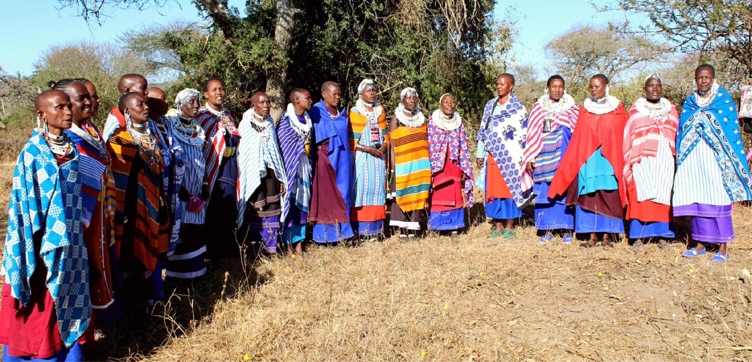 traditional birth-attendants